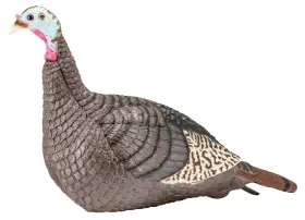 100001 Hunters Specialties 021291000043 Hs Strut Strut-lite Hen Wild Turkey Species Multi Color Synthetic 100001 Hunters Specialties 021291000043 Hs Strut Strut-lite Hen Wild Turkey Species Multi Color Synthetic