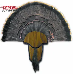 Hunters Specialties 705353590559 Strut Turkey Tail And Beard Mounting Kit - Durable Easy To Ass Hunters Specialties 705353590559 Strut Turkey Tail And Beard Mounting Kit - Durable Easy To Ass