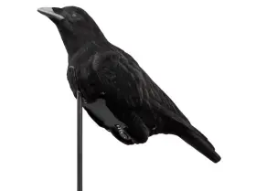 Lucky Duck 605093692097 Cawlinft Crow Decoy And Electronic Call
