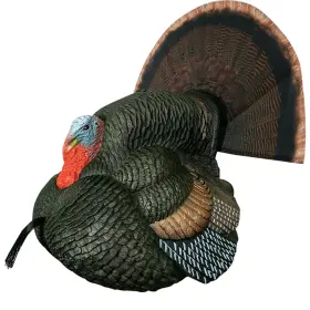 Primos 010135690762 69076 Lilft Gobblestopper Strutter Box Call Turkey Sounds