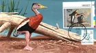 #RW57 Black Bellied Whistling Duck Plate Kolter Fdc (3571990RW57002). Price: $60.00.