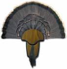 Hunters Specialties Strut Turkey Tail & Beard Mounting Kit - Durable Easy To Ass New. Price: $20.86.