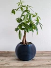 3D Printed Planter Pot: Modern Cross-hatch Design With Drainage New. Price: $39.00.