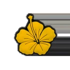 1/30PCS Shoe Charms New Hawaiian Style Flower Surf Board Women Cute Dec. Price: $8.99.