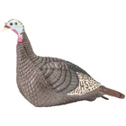 Hunters Specialties Strut-lite Turkey Decoy Hen New. Price: $70.68.