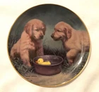 Golden Retrievers "duck Hunters" Franklin Mint Collector Plate By Robert Christi Used. Price: $11.69.