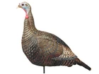 Hs Strut Suzie Snood Turkey Decoy - Hand Crafted Detail New. Price: $48.00.