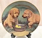 Golden Retriever Puppies Duck Hunters Collector's Plate 8" Franklin Mint Used. Price: $11.69.