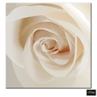 Floral Rose Design Box Framed Canvas Art Picture Hdr 280GSM New. Price: $53.79.