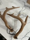 Primos Rattling Fightin' Horns Antler Buck Deer Hunting Rattle Call Synthetic New. Price: $11.17.