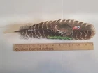 Hand Painted Wild Turkey Feather Deer Elk Moose Folk Art By Bill Scheide New. Price: $60.00.
