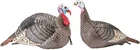 Hunters Specialties Strut-lite Hen/jake Combo Turkey Decoy Pack 100005 New. Price: $180.64.