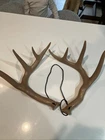 Primos Rattling Fightin' Horns Antler Buck Deer Hunting Rattle Call Synthetic Used. Price: $39.99.