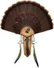 Hunters Specialties Easy To Assemble Trophy Mount H.s. Strut Three Beard New. Price: $29.85.