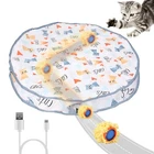 Toys Ball Fast Rolling Pouch Motion Catching Game Rechargeable New. Price: $18.25.