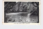 Ppc Postcard Mo Missouri Louis Zoo Water Fowl Lakes Swans Ducks Used. Price: $20.00.