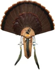 Hs Strut Mounting Kit Turkey Tail & Three Beard 6949 New. Price: $28.74.