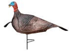 Primos 69069 Photoform Jake Turkey, Lightweight/flexible/collapsible Brown Foam, New. Price: $83.65.