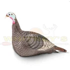 Hunters Specialties Lite Hen Turkey Decoy HS-STR-100001 New. Price: $54.99.