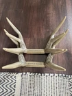Flextone FLX-FLXDR064 Battle Bones Rattling Antlers Attracts Deer Species Brown Used. Price: $21.99.