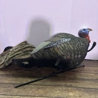 Avian-x Lcd Jake Turkey Decoy Rugged Durable Realistic Lifelike Half-strut Used. Price: $100.00.