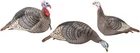 Hunters Specialties Strut-lite Turkey Flock Hunting Decoy 3 Pack 100006 New. Price: $189.05.