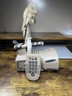 Lucky Duck Rebel E-caller With Electronic Decoy And Remote *no Charger* Custom Used. Price: $105.00.