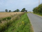 Photo A2 Lubberhedges Lane Duck END/TL6526 Wonderful Name For This Ve C2017 New. Price: $46.79.