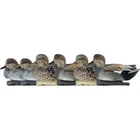 Avian X Top Flight Duck Decoys Gadwall 6 Pk. New. Price: $119.99.