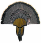 Hunters Specialties Strut Turkey Tail & Beard Mounting Kit - Durable New. Price: $21.33.