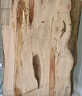 Spalted Box Elder Bowl Pen Blanks Duck Call 2 X11 X14 3/4 B-110 New. Price: $25.00.