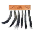 Pittman 701 Preston Hunting Turkey Long Beard Display New. Price: $33.04.