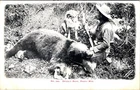 Hunting, Hunter, Dog And Bear The Rocky Mountains Postcard Used. Price: $10.00.
