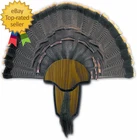 Strut Turkey Tail & Beard Mounting Kit Durable Easy To Assemble Trophy New. Price: $19.99.