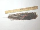 Hand Painted Wild Turkey Feather Deer Elk Moose Folk Art By Bill Scheide New. Price: $60.00.